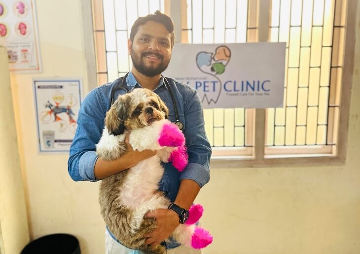 top pet grooming services in vizag